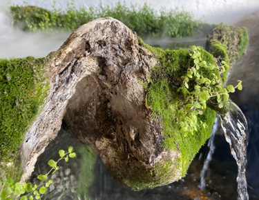 WATER FEATURES
