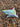Great Sprayed Shark Wall Art