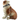 SITTING BULLDOG