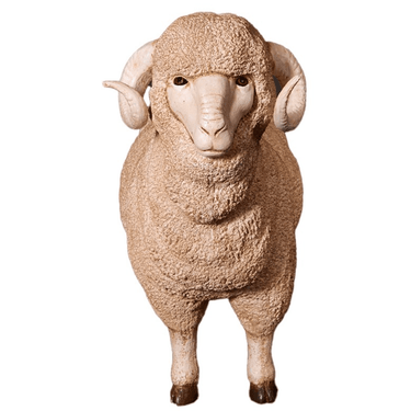 MERINO RAM