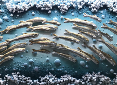 FLYING FISH WALL PANEL BY DANIEL LAURENCE