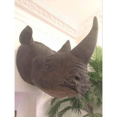 LIFE SIZE RHINO BUST WALL ART