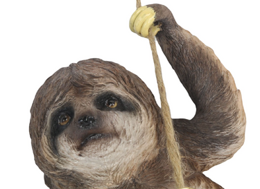 SLOTH CLIMBING ON ROPE