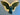 ILLUMINATED GOLD WINGED ANGEL WALL STATUE