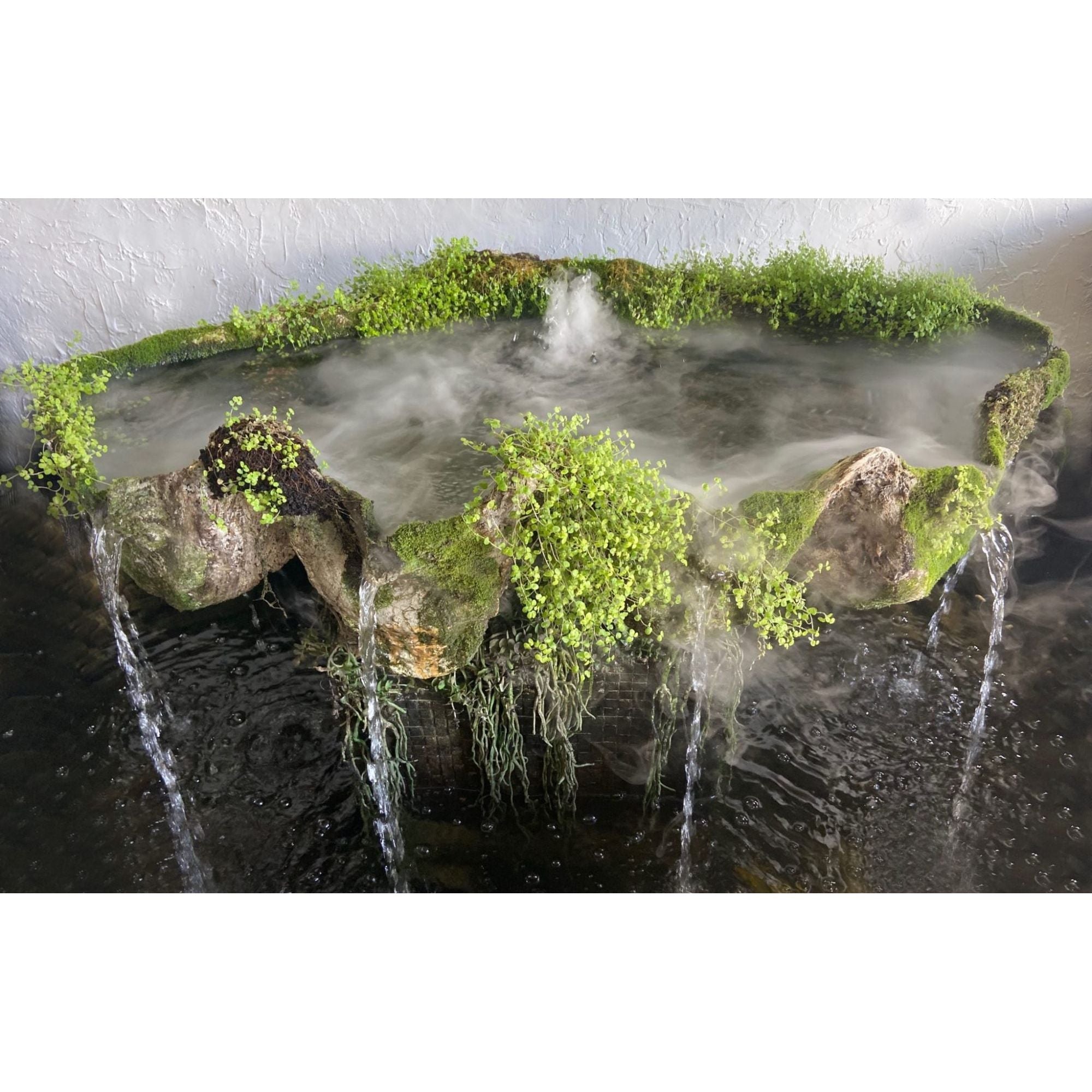 GIANT MISTING CLAM SHELL CASCADING WATER FEATURE – DANIEL LAURENCE ARTWORKS